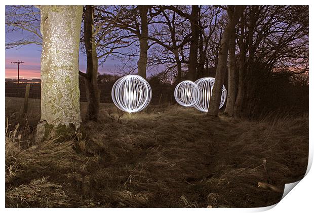 Woodland lights Print by Gavin Wilson