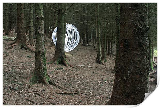 forest dreams Print by Gavin Wilson