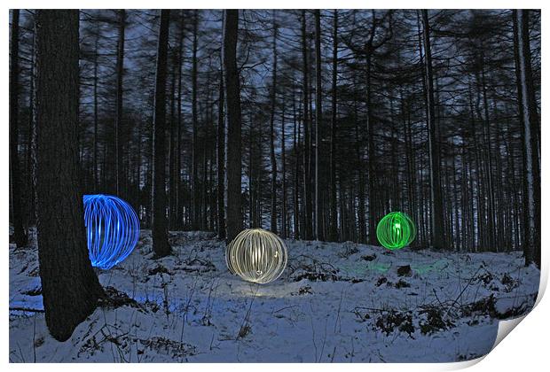 Forest Lights Print by Gavin Wilson
