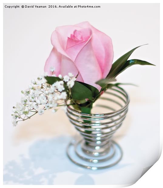 Pink Rose in an egg cup Print by David Yeaman