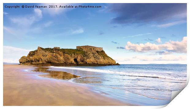 Saint Catherine's Island Print by David Yeaman