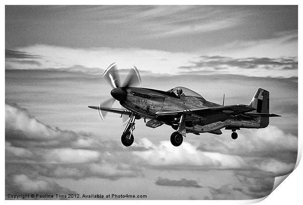 Mustang P 51D Print by Pauline Tims