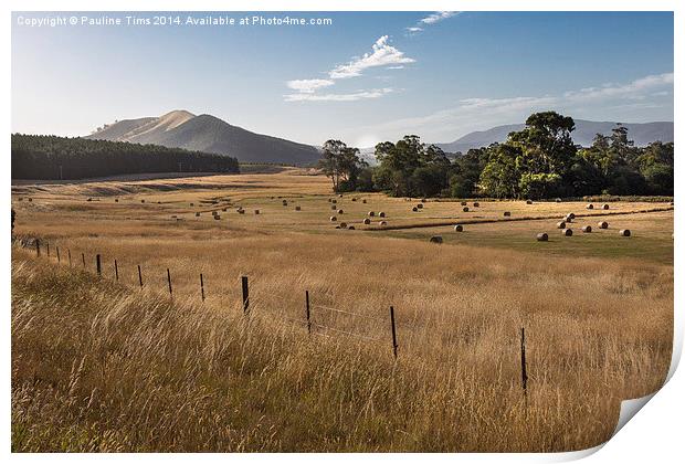 Golden Glow at Strath Creek 2 Print by Pauline Tims