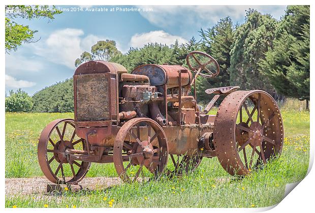  Rusty Relic 2 Print by Pauline Tims