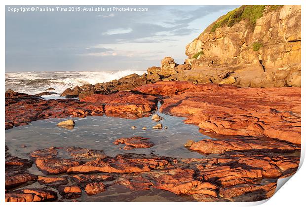  Red Rocks at Merimbula, New South Wales, Australi Print by Pauline Tims