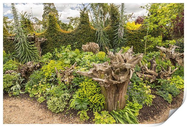  Garden at Arundel Castle, Sussex, UK Print by Pauline Tims