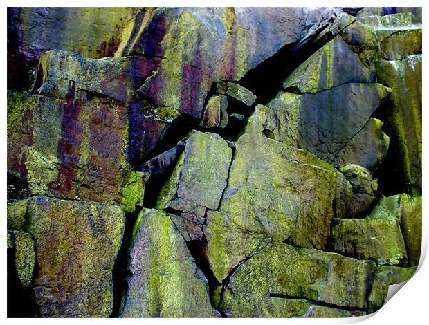 rock face cow and calf Print by aaron bridgewood