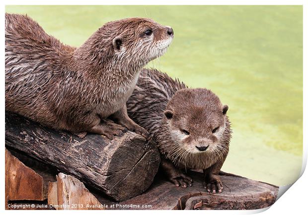 Happy Otters Print by Julie Ormiston