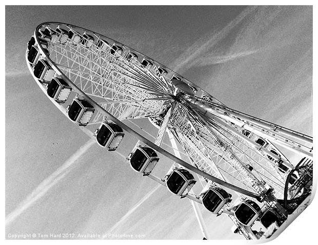 Brighton Wheel Print by Tom Hard