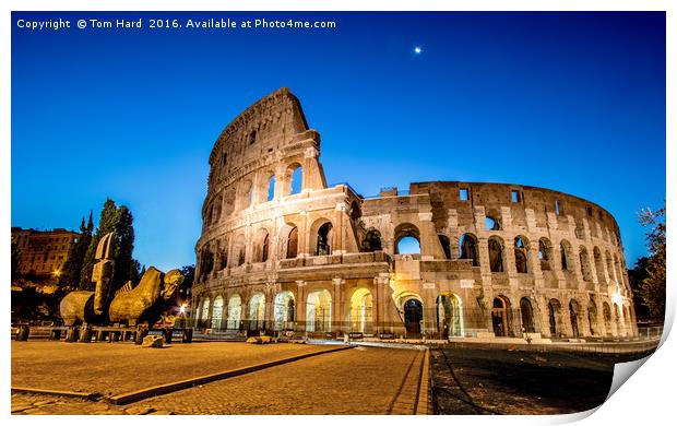 Collosseum at dawn Print by Tom Hard