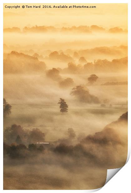 Misty Morning Print by Tom Hard