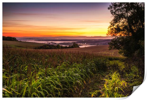 South Downs Sunrise Print by Tom Hard