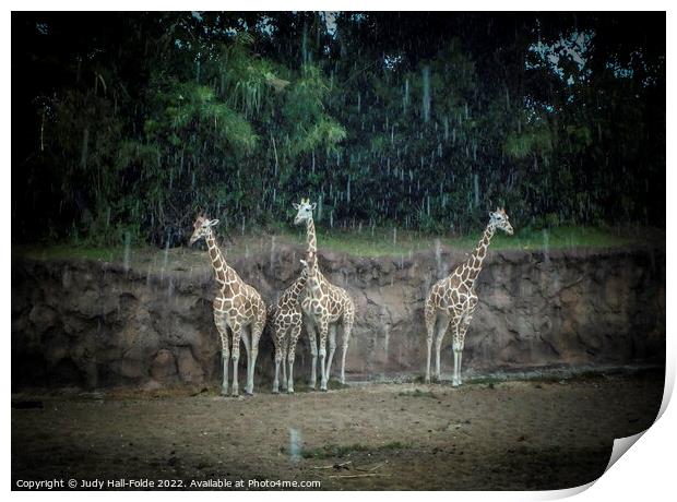 Standing in the Rain Print by Judy Hall-Folde