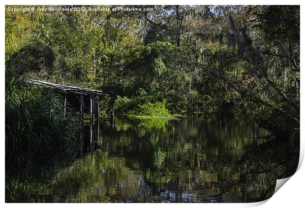 Off the Beaten Path Print by Judy Hall-Folde