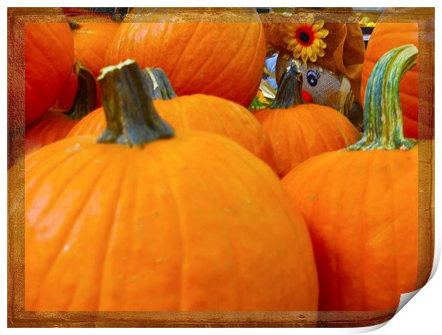 Hiding in the Pumpkin Patch Print by Judy Hall-Folde