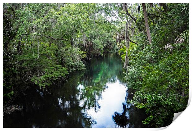 Still Waters Run Deep Print by Judy Hall-Folde