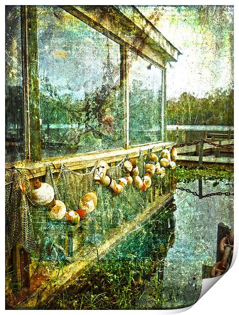 River Life Print by Judy Hall-Folde