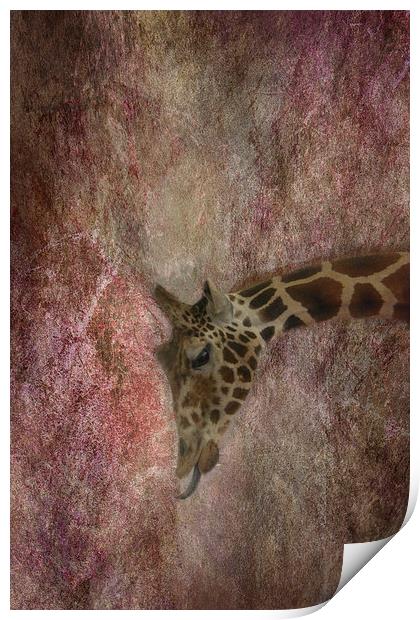 Giraffe Print by Judy Hall-Folde