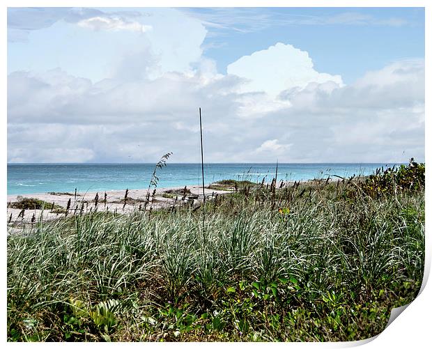 Across the Dunes at Hobe Sound Print by Judy Hall-Folde