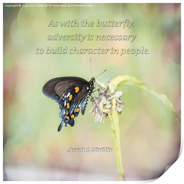  Building Character Butterfly Print by Judy Hall-Folde