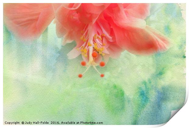 Sofly Colored Print by Judy Hall-Folde