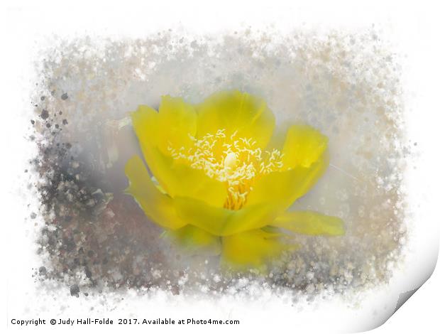 Cactus Flower Print by Judy Hall-Folde