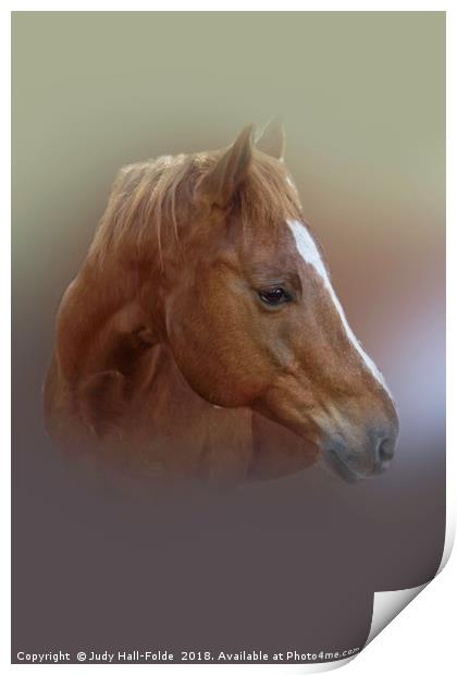 Portrait of a Horse Print by Judy Hall-Folde