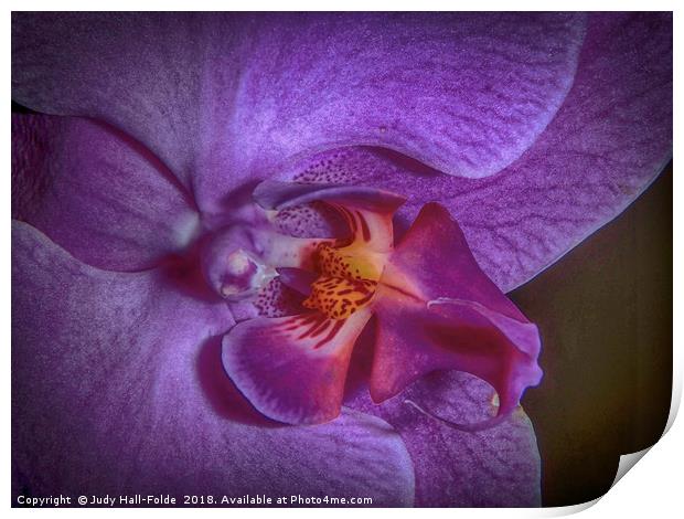 Deep Purple Orchid Print by Judy Hall-Folde