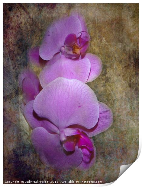 Purple Orchids Print by Judy Hall-Folde