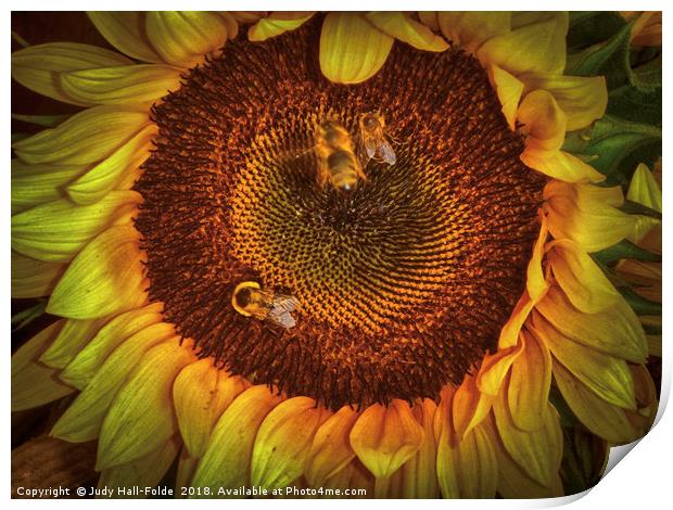 Sharing the Sunflower Print by Judy Hall-Folde