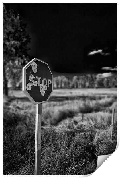 Shot up Stop Sign Print by Sean Needham