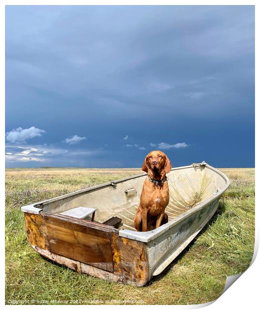 Dog in a boat, Brancaster, Norfolk Print by suzie Attaway