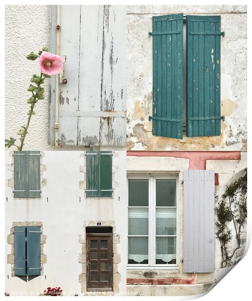 Shutters and windows, Ile De Re, France Print by suzie Attaway