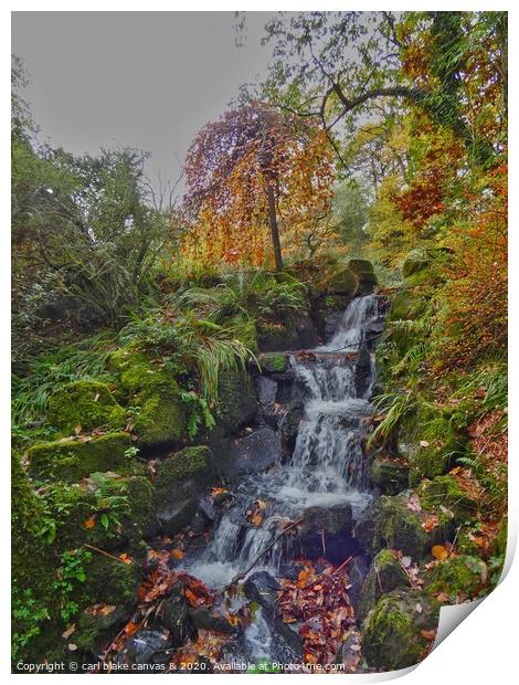 A large waterfall in a forest Print by carl blake