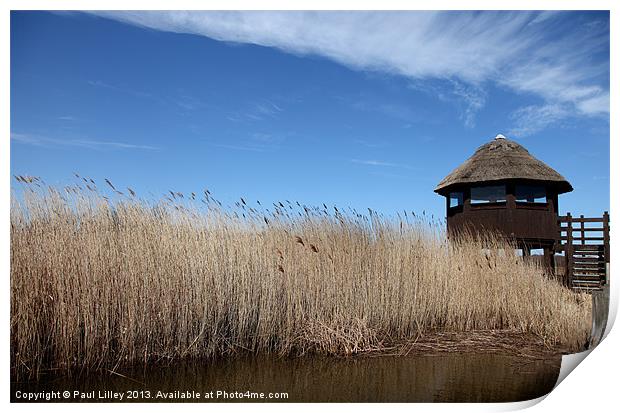 The Lookout Print by Digitalshot Photography