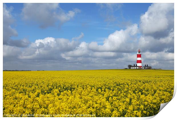 Bright Beacon in Norfolk Fields Print by Digitalshot Photography
