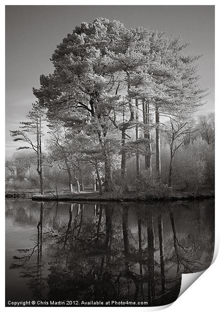 Infrared Trees with Reflection Print by Chris Martin