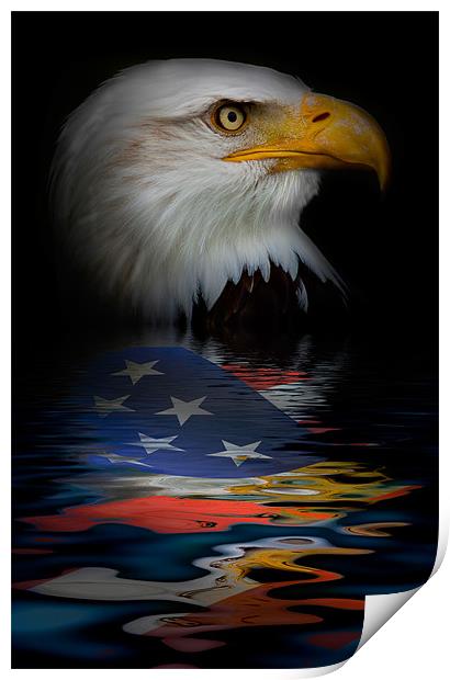 American Eagle Phone Case Print by pixelviii Photography