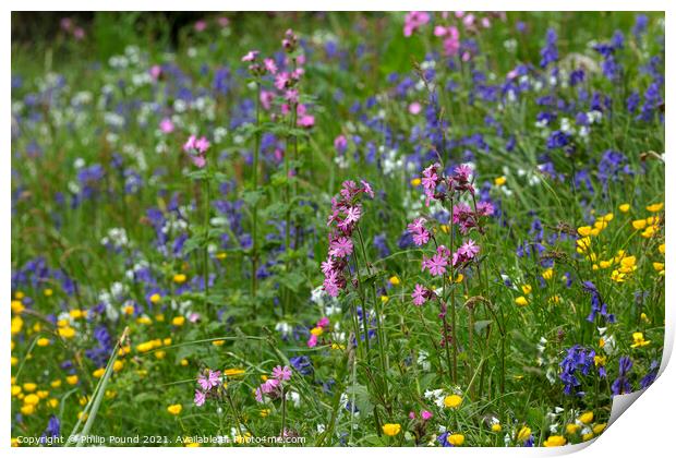Meadow of colourful wild flowers Print by Philip Pound