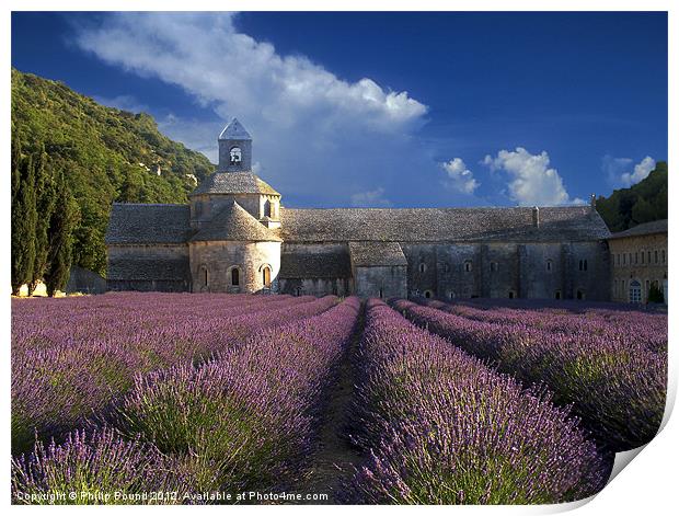 Lavender Fields in France Print by Philip Pound