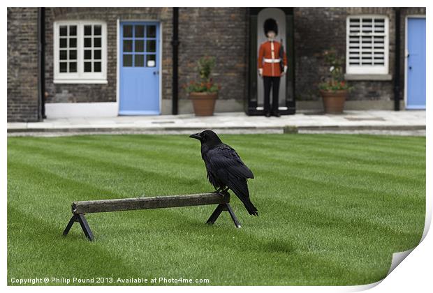 Raven & Welsh Guard Print by Philip Pound