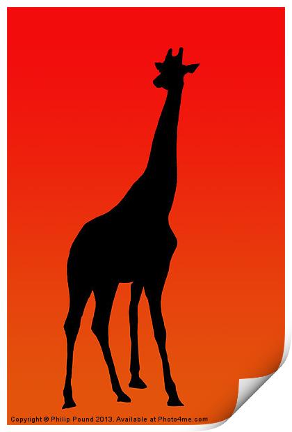 African Giraffe at Sunset Print by Philip Pound