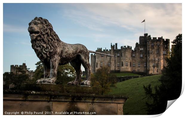 Lion at Alnwick Castle in Northumberland Print by Philip Pound
