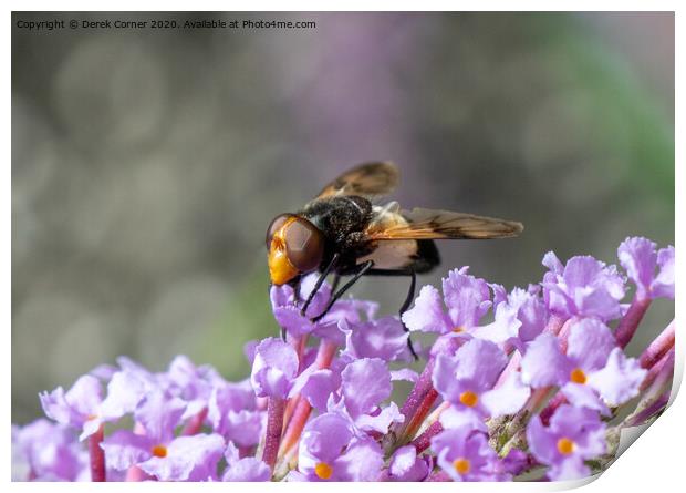 Flower with insect Print by Derek Corner