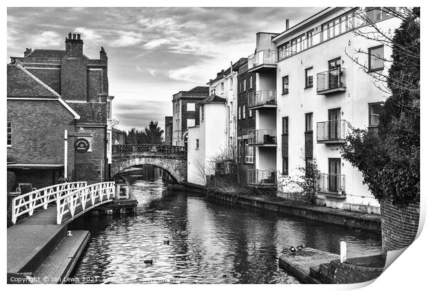 Newbury and the River Kennet Print by Ian Lewis