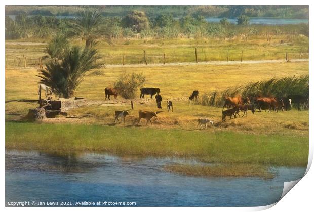 A River Nile Island With Cattle Print by Ian Lewis