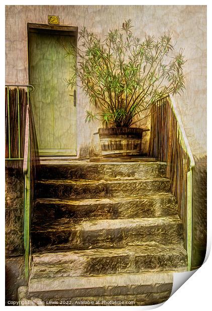 Steps To The Front Door Print by Ian Lewis