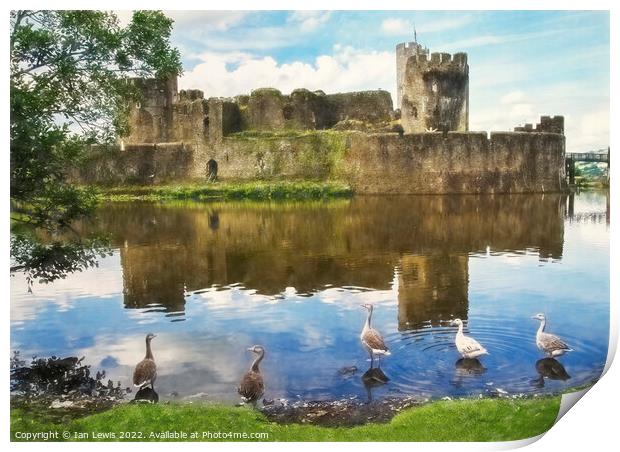 The Castle Geese Print by Ian Lewis