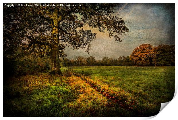 Tranquil Autumnal Pathway Print by Ian Lewis
