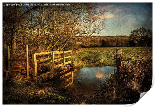 The Path to Sulham  Print by Ian Lewis